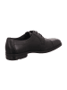 LLOYD Business Schnürschuhe in Schwarz