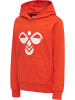 Hummel Hummel Kapuzenpullover Hmlcuatro Kinder Atmungsaktiv in CHERRY TOMATO