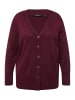 Ulla Popken Strickjacke in dunkle beere