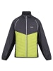 Regatta Steppjacke Steren in SlGry/GrnAlg