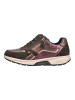 Gabor Sneaker in Braun/Lila