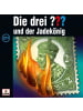 Sony Music Entertainment Die drei ??? 211 und der Jadekönig