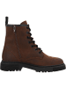 palado Schnürstiefeletten in brown