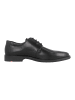 LLOYD Businessschuhe in Schwarz