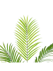 Lykke Künstliche Pflanze Areca Palme in Grün 150cm