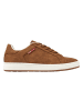 British Knights Sneaker Axton in cognacfarben