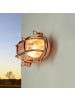 Licht-Erlebnisse Außen Wandlampe (B)21 x (H)13 cm in Kupfer