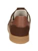 Sioux Sneaker Tedroso-713 in braun