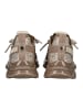 Steve Madden Sneaker Beige/Gold