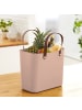 Rotho Albula Einkaufskorb 25l, Kunststoff (PP recycelt) in Meadow rose