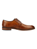 Bugatti Businessschuhe in Cognac