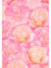 IZIA Women Skirt in light rose