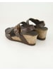 PANAMA JACK Wedges in Braun