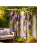 relaxdays 3 x Rankgitter "Blatt" in Schwarz - (B)40 x (H)150 cm