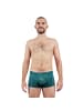 EIN SCHÖNER FLECK ERDE Boxershort 1er Pack in Schöner Mann (Petrol)