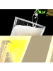 Mr. & Mrs. Panda Glas mit Gravur Eulen Liebe mit Spruch in Transparent