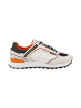 COLMAR Sneaker low Travis Sport Division XT in multicolor