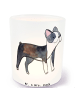Mr. & Mrs. Panda Garten Windlicht Boston Terrier Lebensretter oh... in Transparent