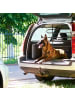relaxdays Hundegitter Auto in Schwarz