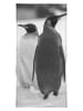 Juniqe Handtuch "The Penguins" in Schwarz & Weiß