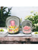 Mr. & Mrs. Panda Bonbonglas Avocado Glücklich mit Spruch in Weiß
