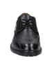 Josef Seibel Klassische Schnürschuhe in Schwarz