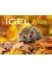 Heel Verlag Kalender - Kalender Igel 2026 Eintragkalender