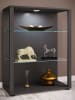 VCM  Holz Glas Stand Vitrine Sammelvitrine Glasol L in Anthrazit
