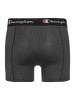 Champion Boxershorts 2pk Boxer in Dark Grey Melange 3070