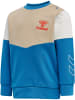 Hummel Druckknopf Sweatshirt Hmlfinn Jungen in VALLARTA BLUE
