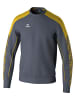 erima Sweatshirt in slate grey/gelb