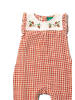 Little Green Radicals Frill Summer Romper in Red