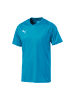 Puma T-Shirt LIGA Jersey Core  in blau