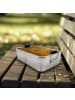 Mr. & Mrs. Panda Bentobox Waldtiere Picknick Design ohne Spruch in Weiß