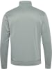 Hummel Trainingsanzug "Hmlpulse Tracksuit" in Grau