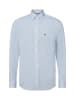 FYNCH-HATTON Hemd in hellblau blau