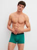 Calida New Boxer, 3er-Pack in ivy green