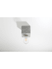 Nice Lamps Deckenleuchte GABI in Grau H 10 cm
