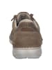 Josef Seibel Sneaker in beige