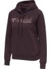 Hummel Hoodie in Braun