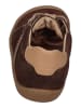 KOEL Sneaker Low BLAKE SUEDE in braun