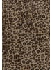 IDONY Women Top in BROWN LEOPARD