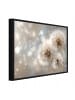 WALLARENA Bild mit Rahmen Pusteblumen in Beige