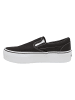 Vans Sneakers in black/true white