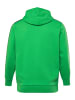Men Plus Sweatshirt in petersilie