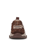Steve Madden Sneaker in braun