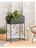 Beliani Indoor Blumentopf TAPIEN in Schwarz - (W) 70 x (H) 100 x (L) 30 cm