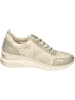 remonte Sportliche Halbschuhe in perle/perlcreme/alloy/muschel