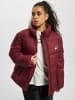 Tommy Hilfiger Puffer-Jacken in deep rouge