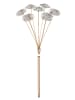 Globo lighting Deckenleuchte "KATRINA" in gold